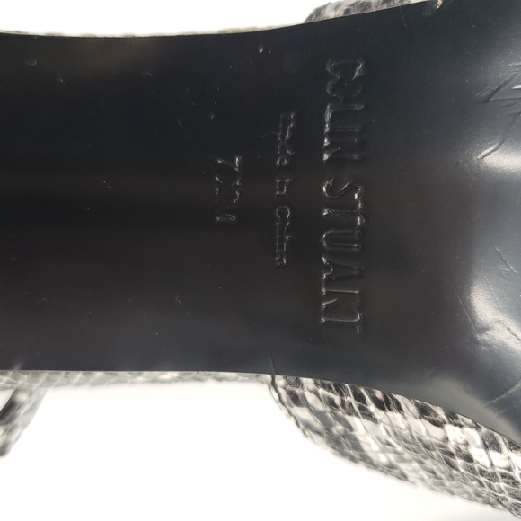 Clinton Stuart - Picture 8 of 10